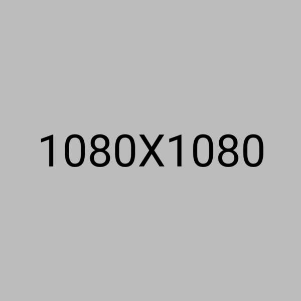 Efficitur tincidunt ornare – Image 2