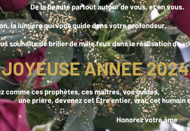 Lire la suite à propos de l’article Joyeuse année 2024
