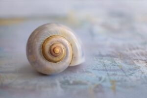 Lire la suite à propos de l’article Le Printemps des artistes héricois